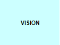 VISION