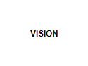 VISION